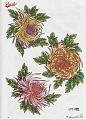 Fiori colorati 104